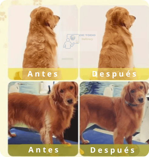 Cepillo con Vapor para Mascotas